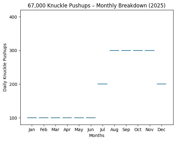 Daily knuckle pushups by month in 2025: 100 a day from January to June, 200 in July, 300 from August to November, 200 in December